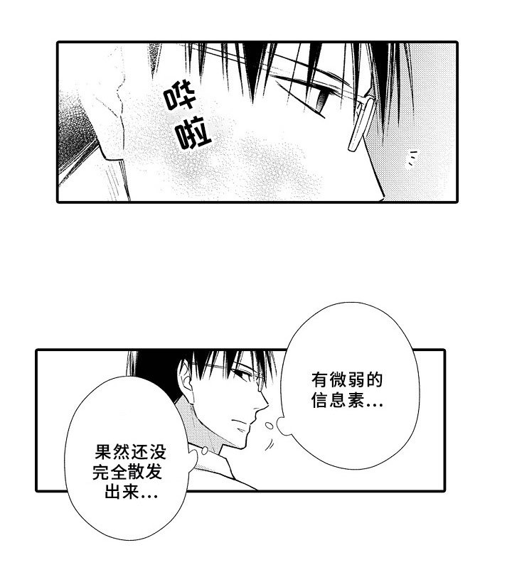 第14章：帮助