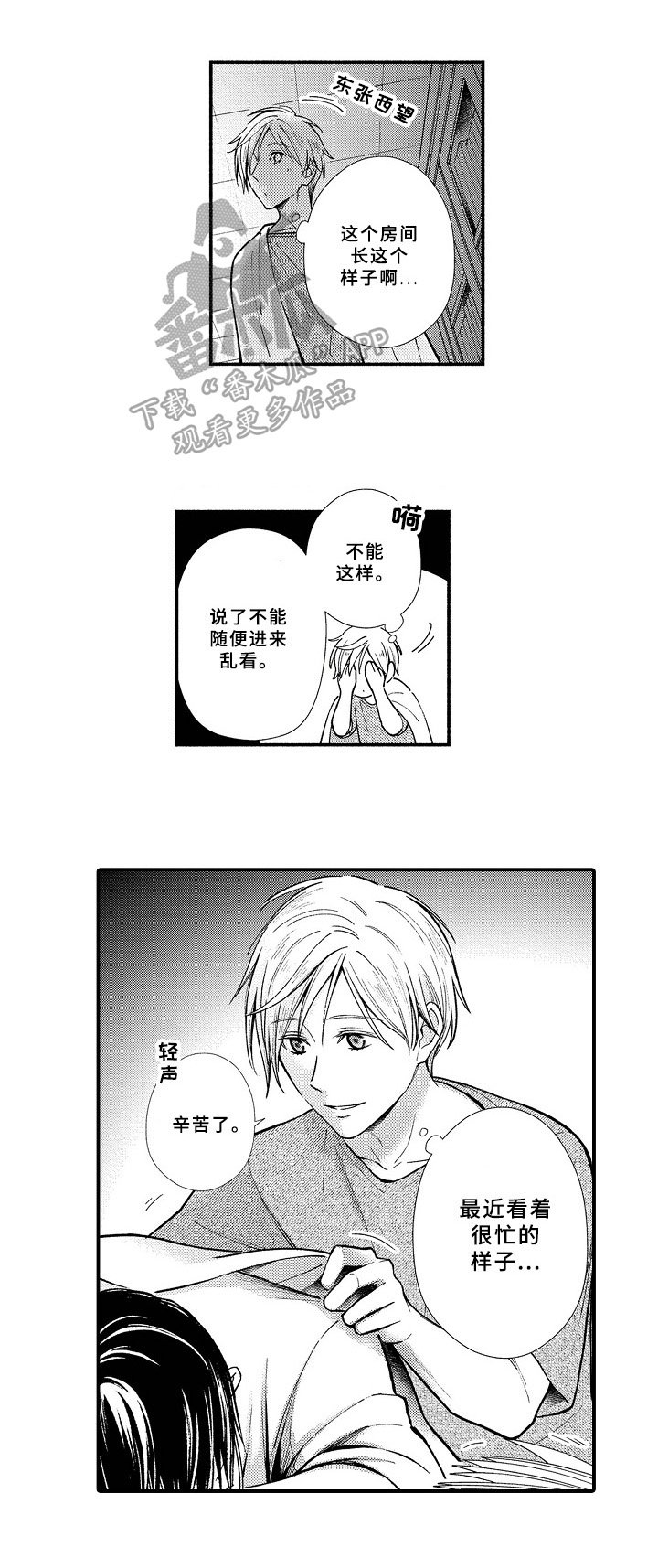 第15章：报告结果