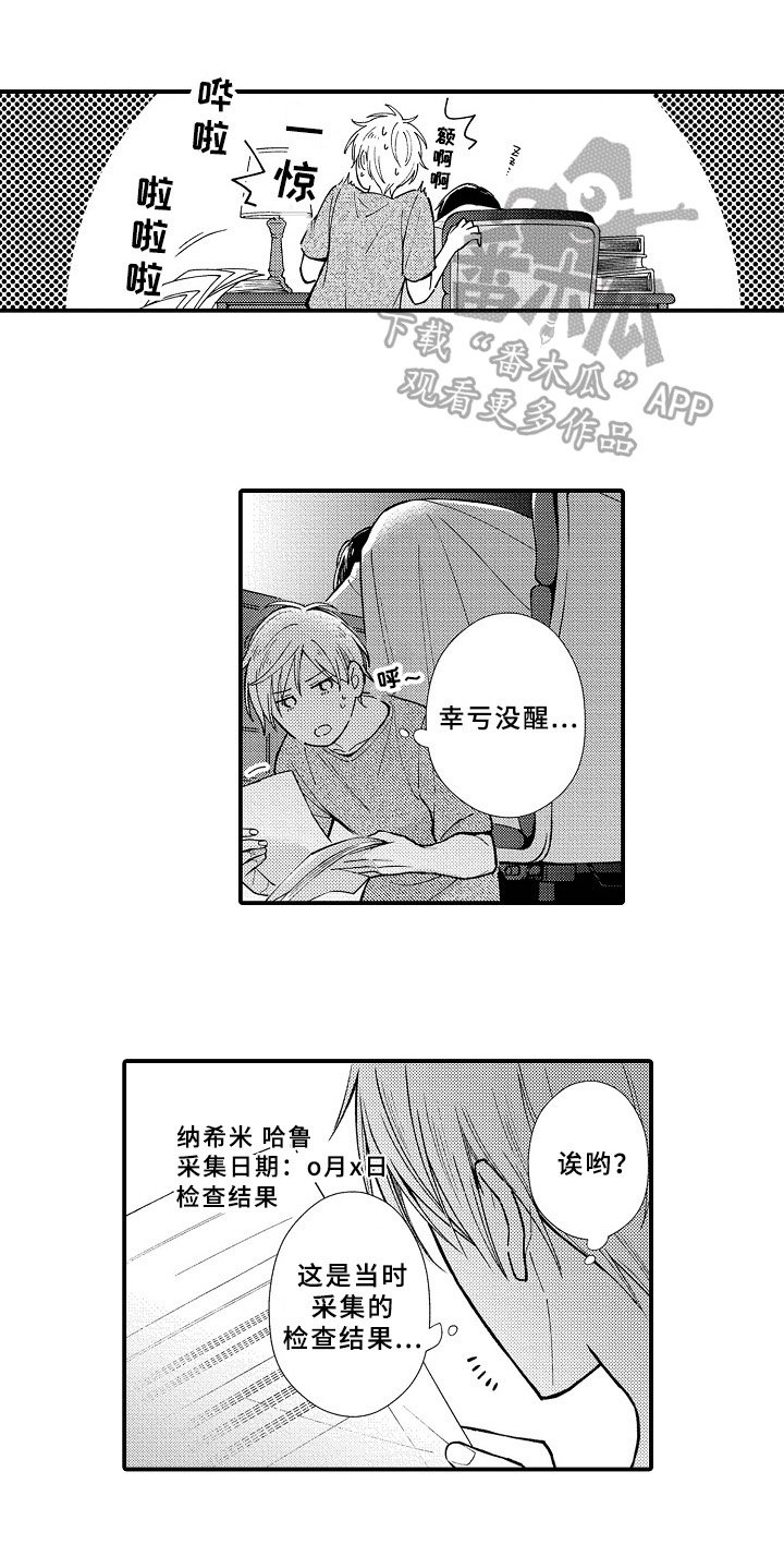 第15章：报告结果
