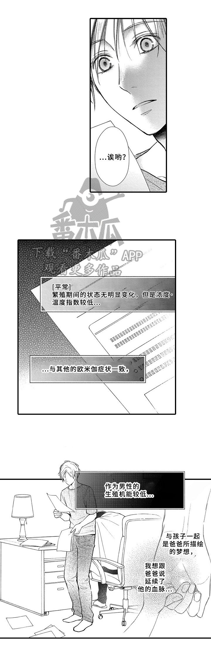 第15章：报告结果