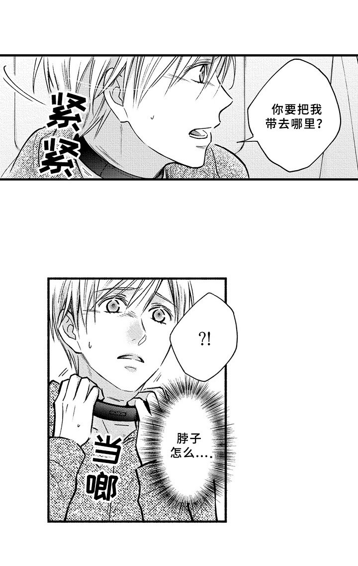 第38章：限制