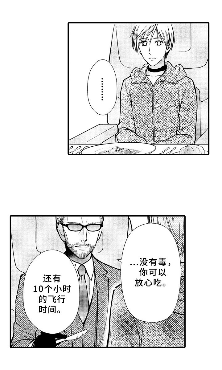 第40章：预案