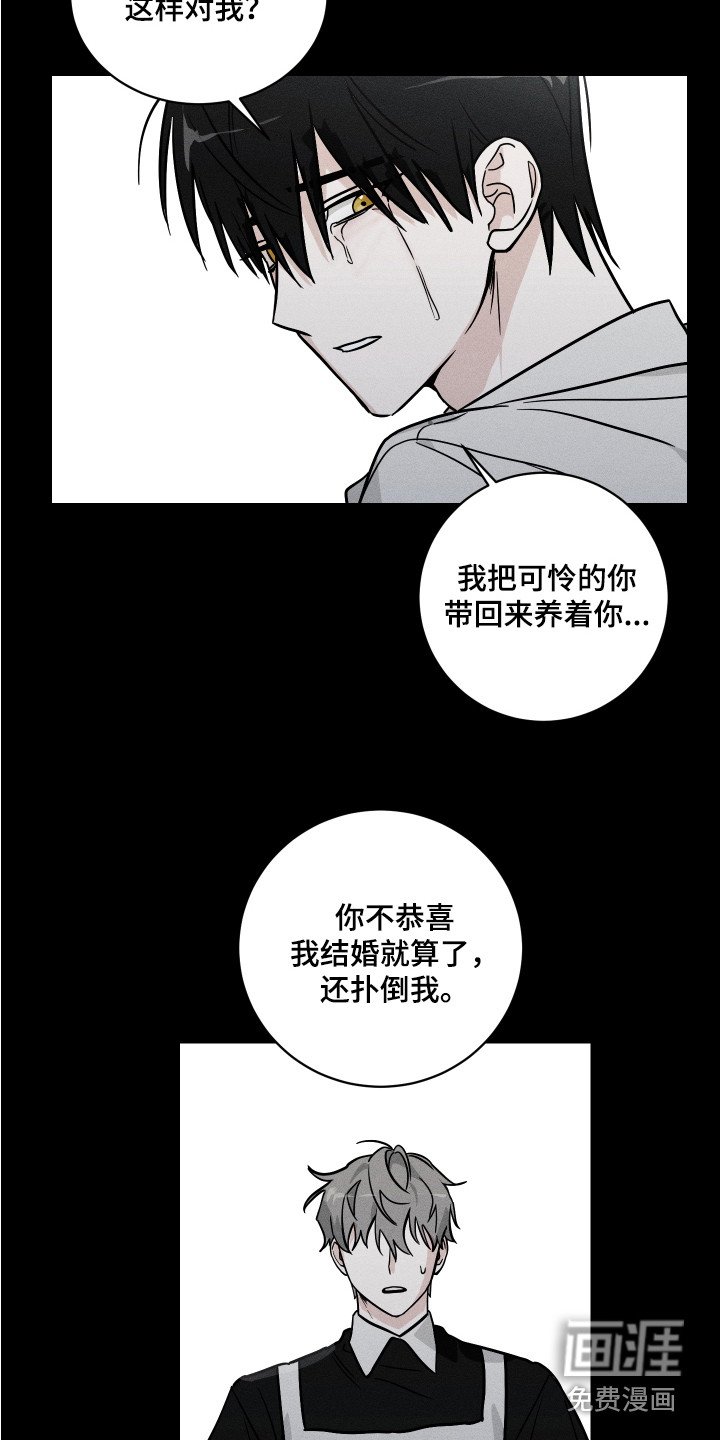 第7章：善良对待