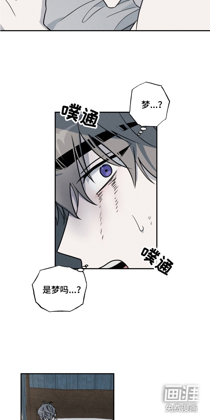 第7章：善良对待