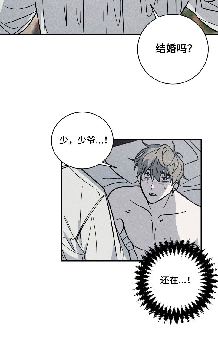 第7章：善良对待