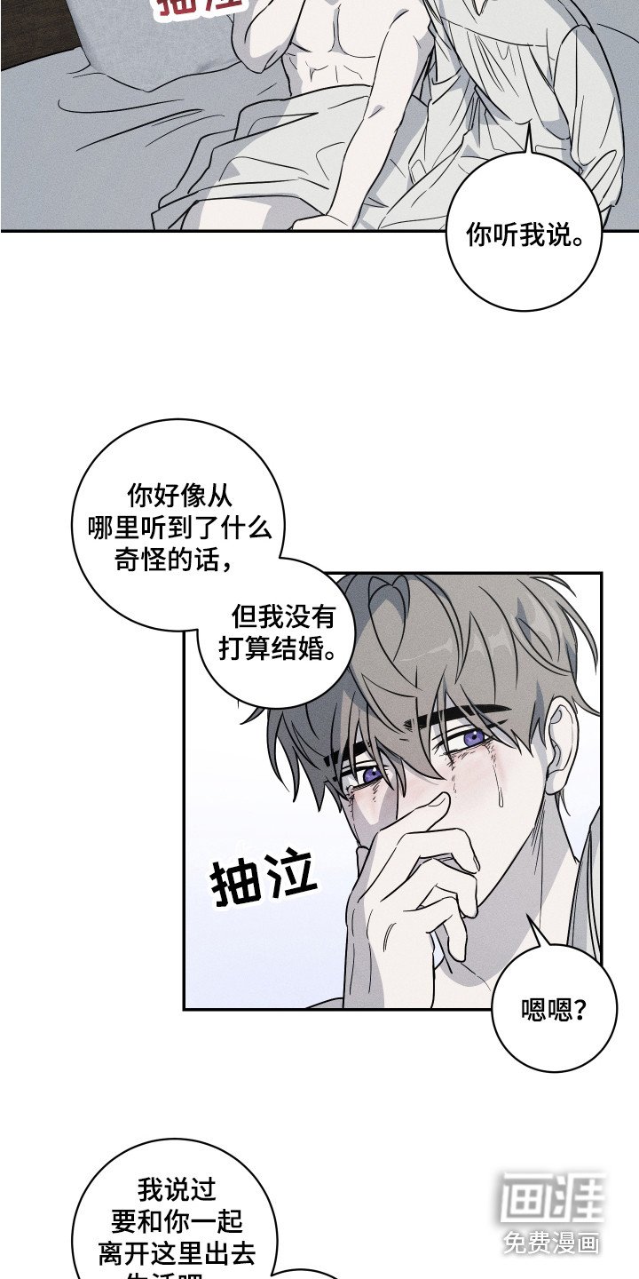 第8章：解释