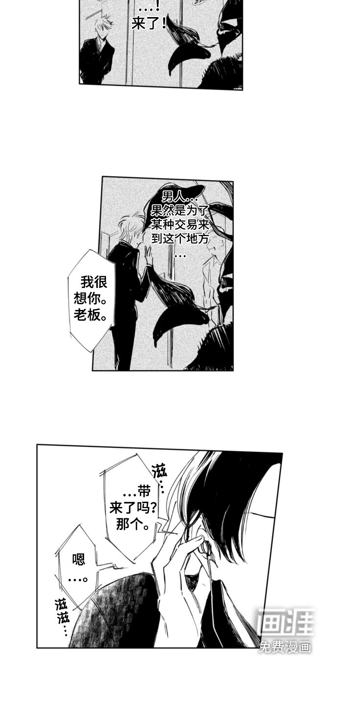 第16章：调查