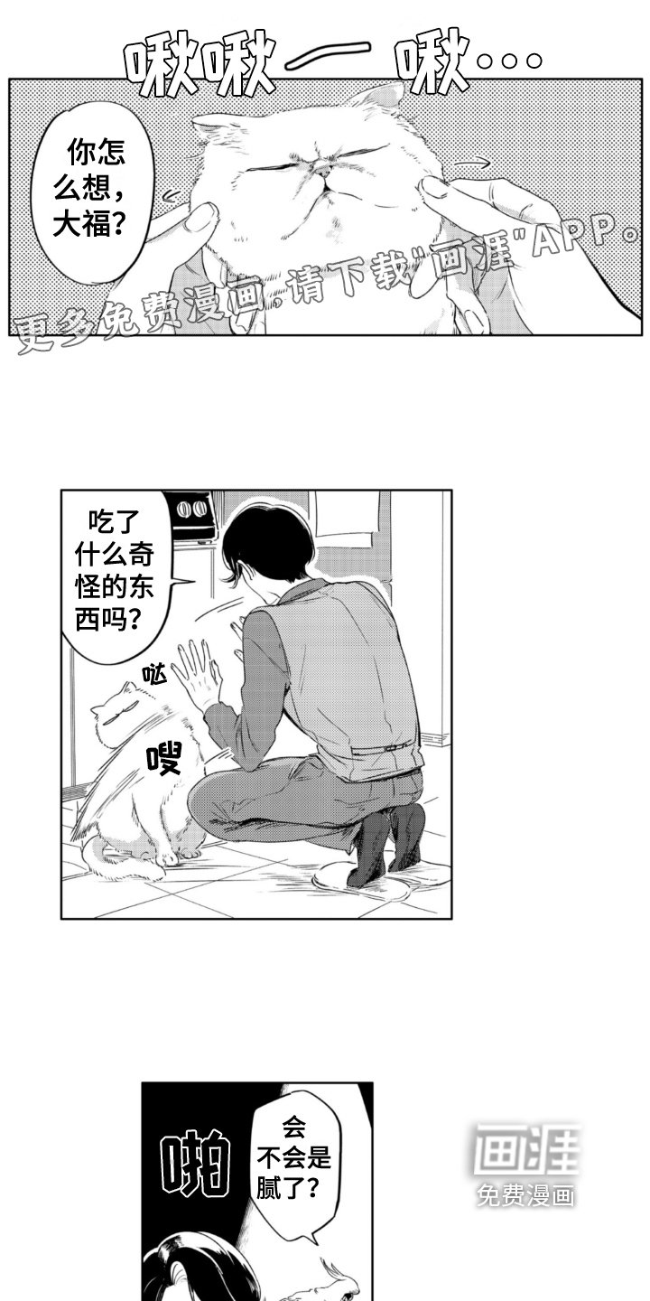 第29章：建议