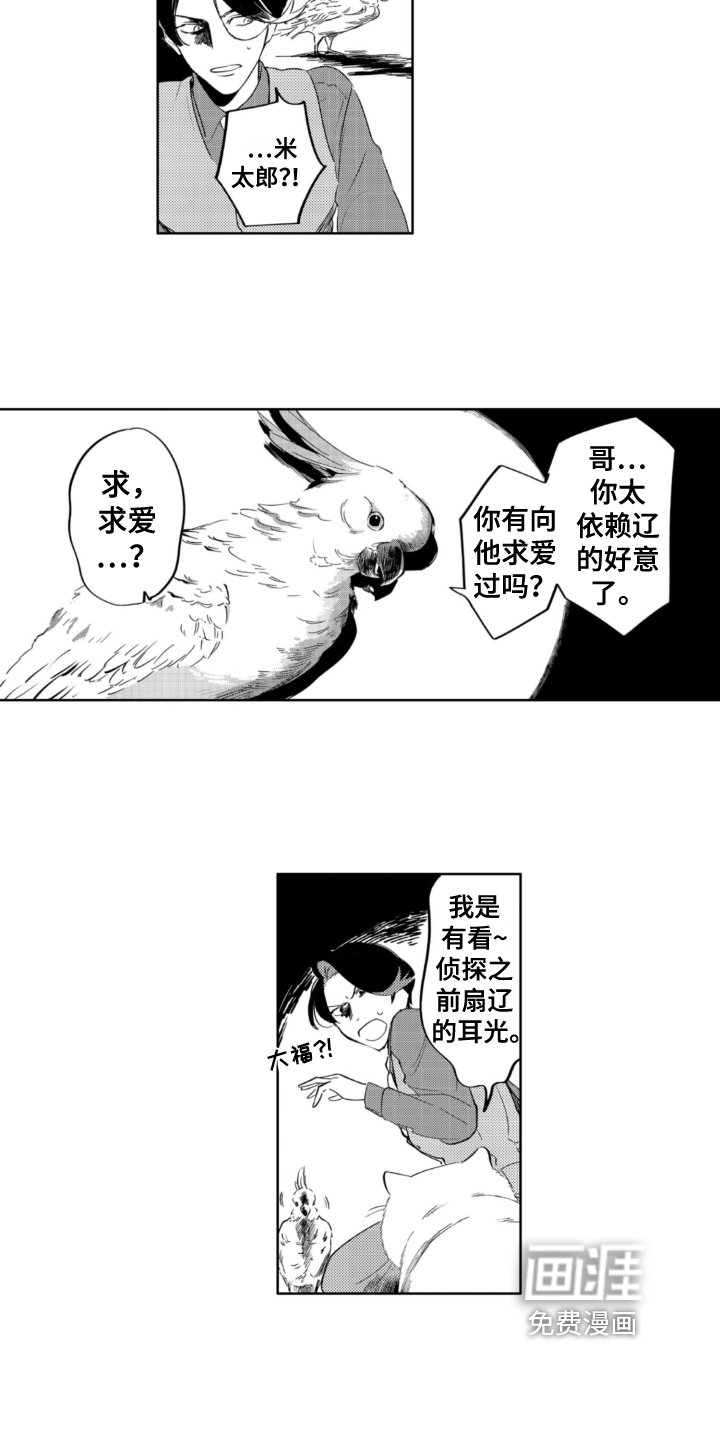 第29章：建议