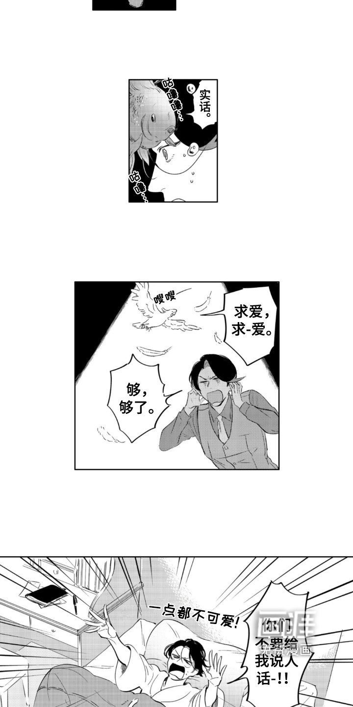 第29章：建议