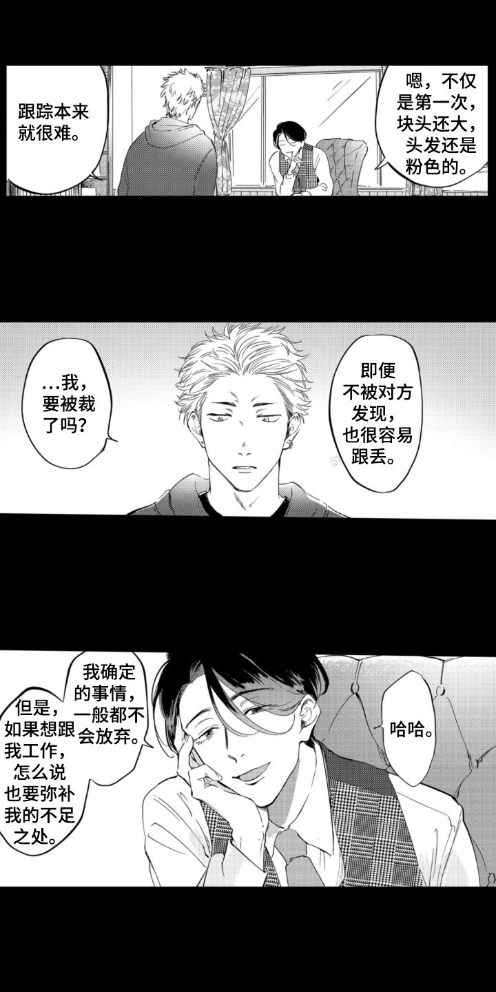 第3章：找猫