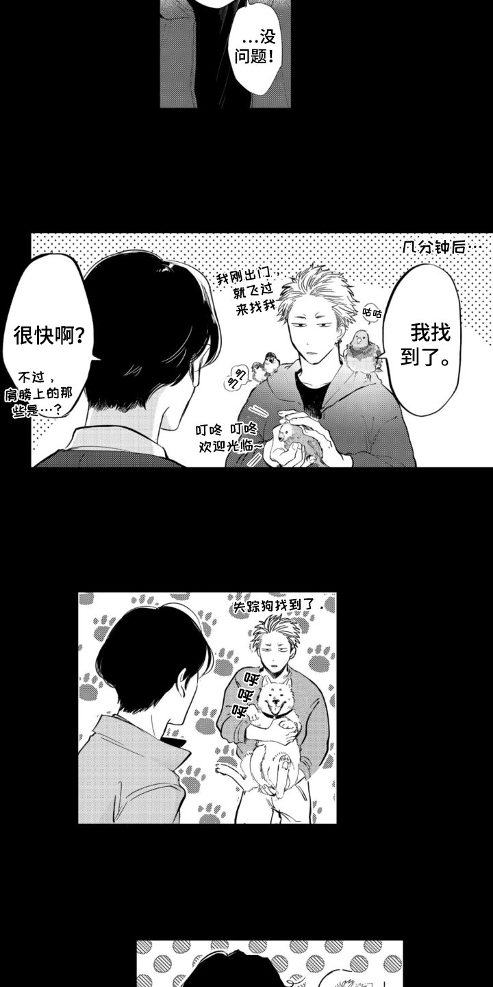 第3章：找猫