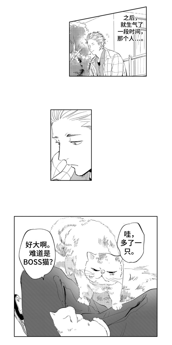 第3章：找猫