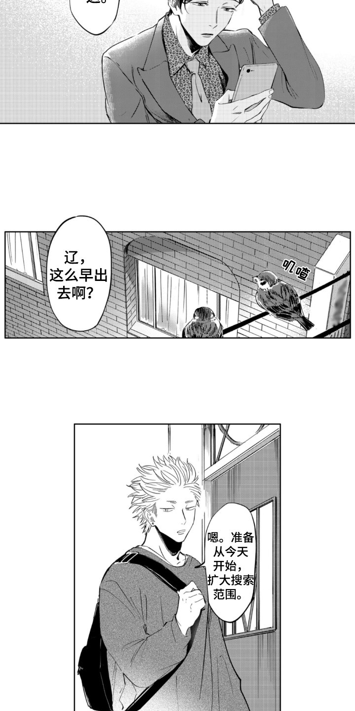 第3章：找猫