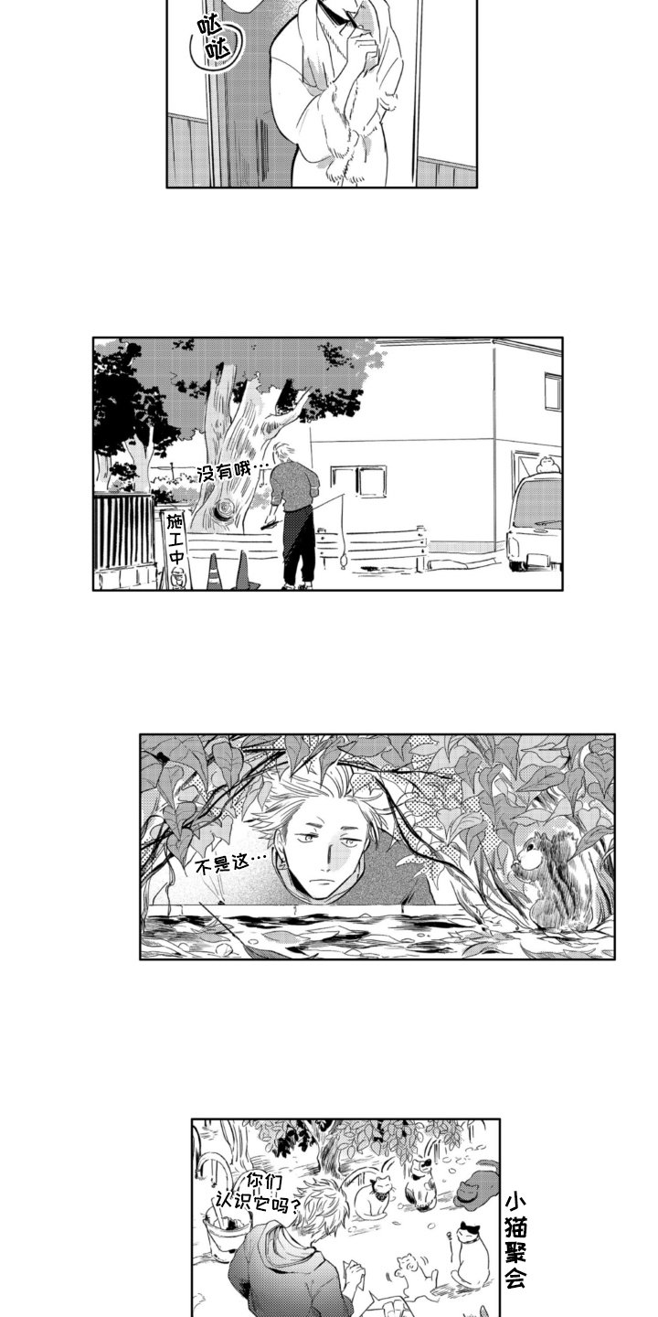 第3章：找猫