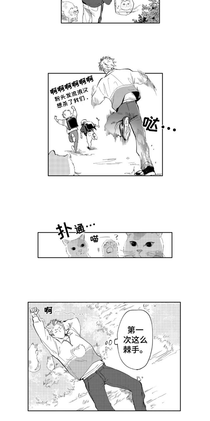 第3章：找猫