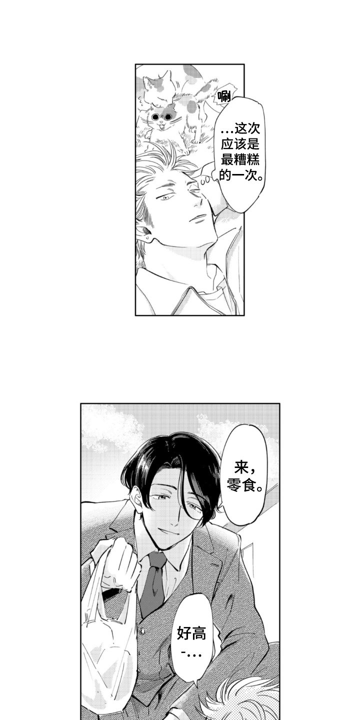 第3章：找猫
