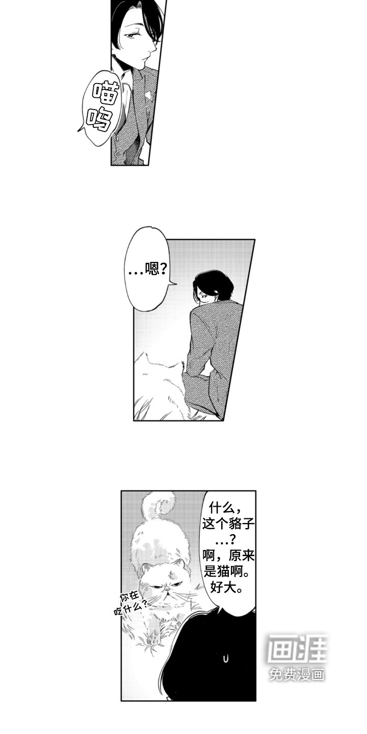 第4章：抛弃