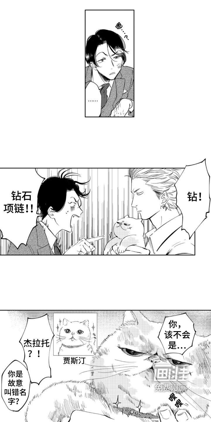 第4章：抛弃
