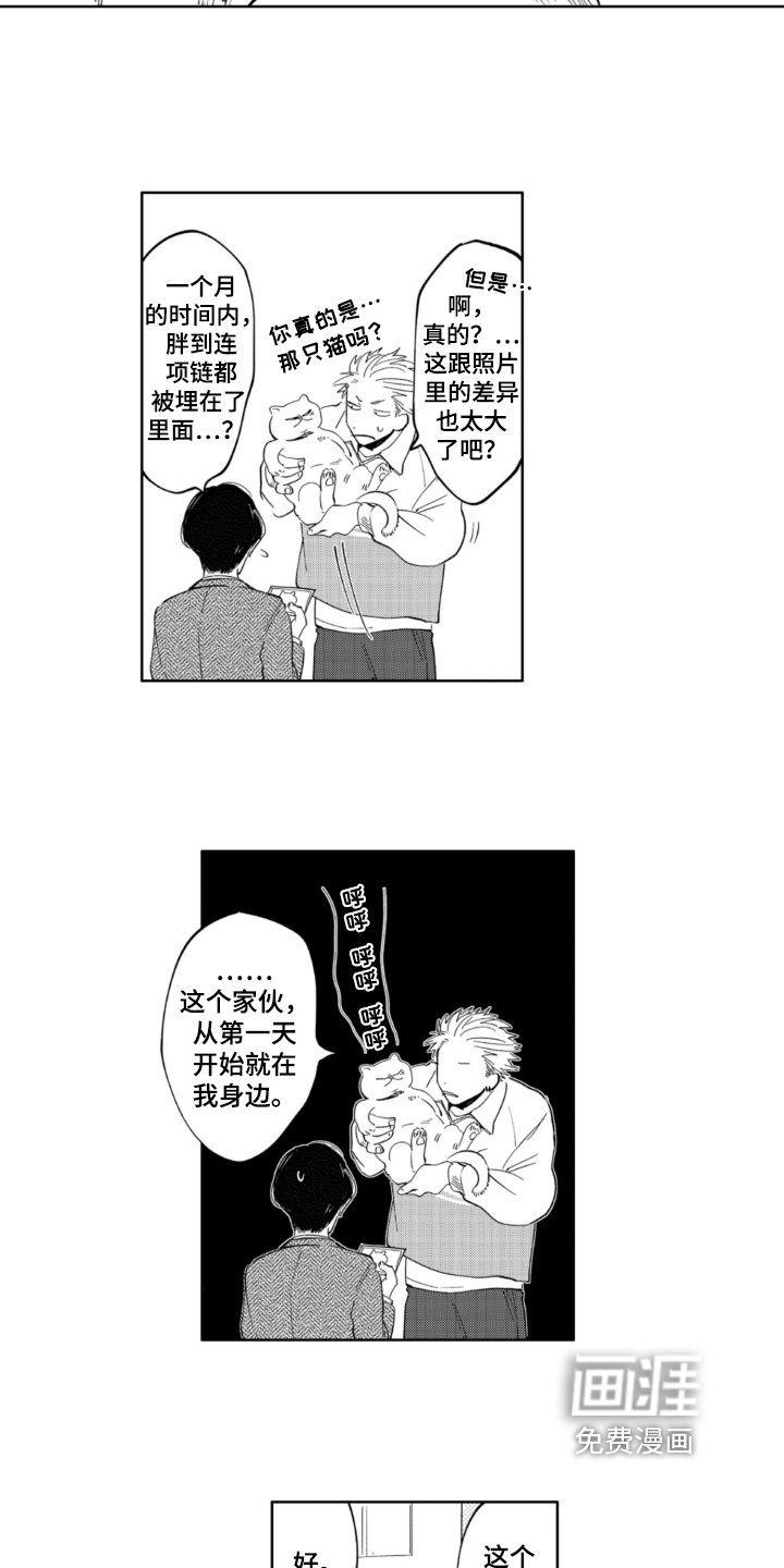 第4章：抛弃