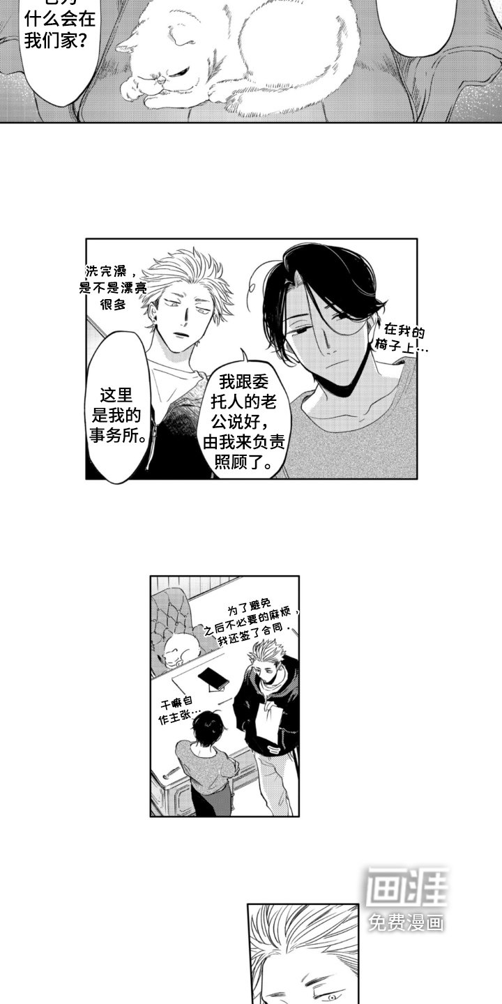 第5章：收留