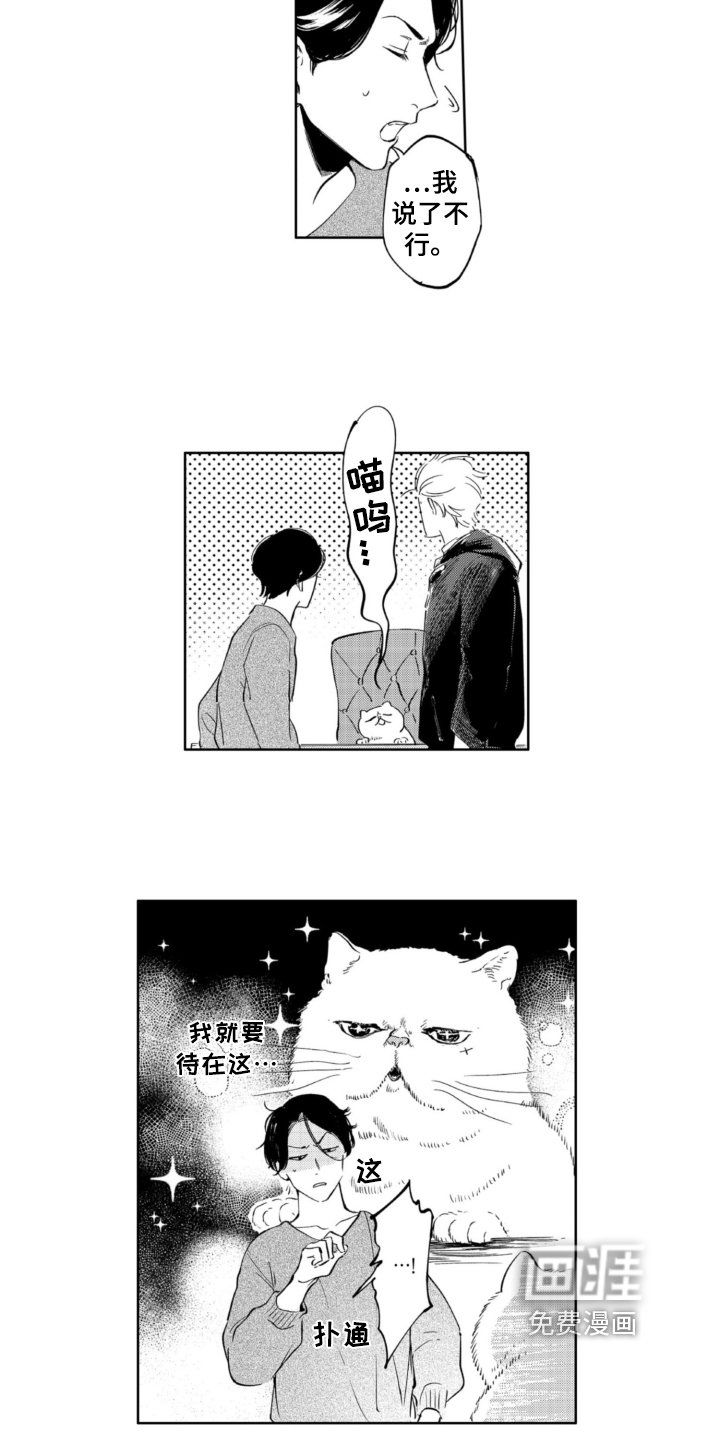 第5章：收留