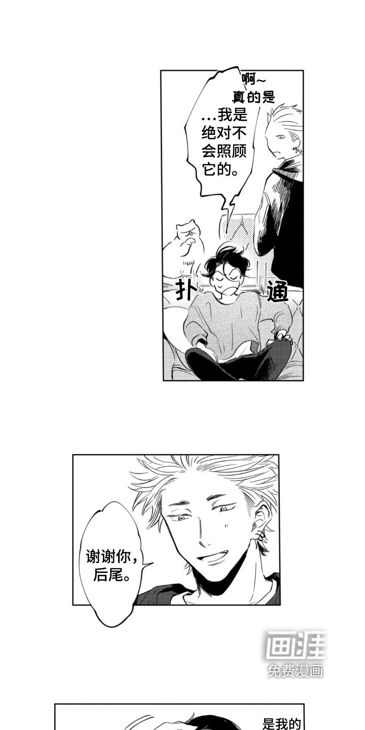 第5章：收留
