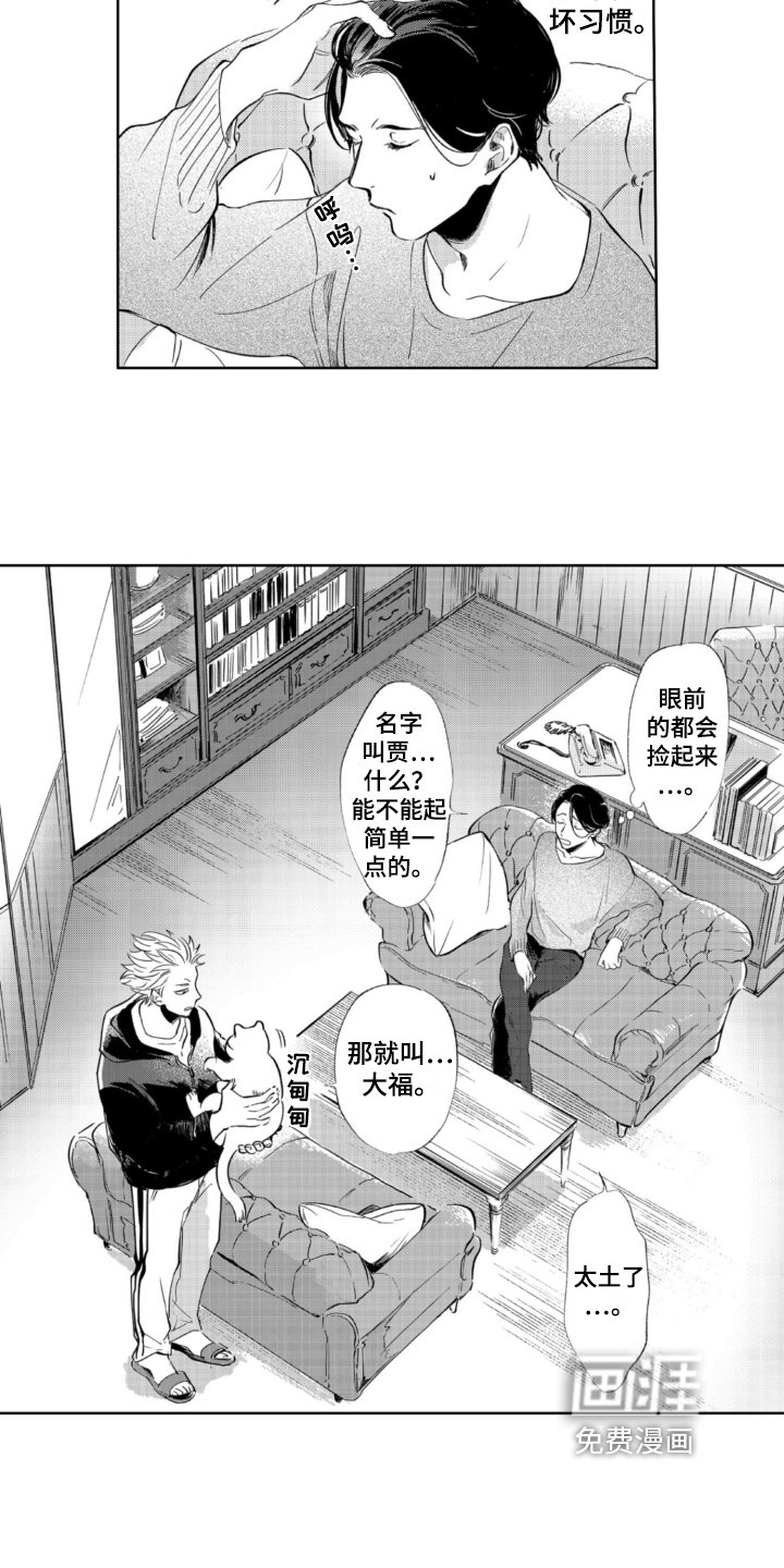 第5章：收留