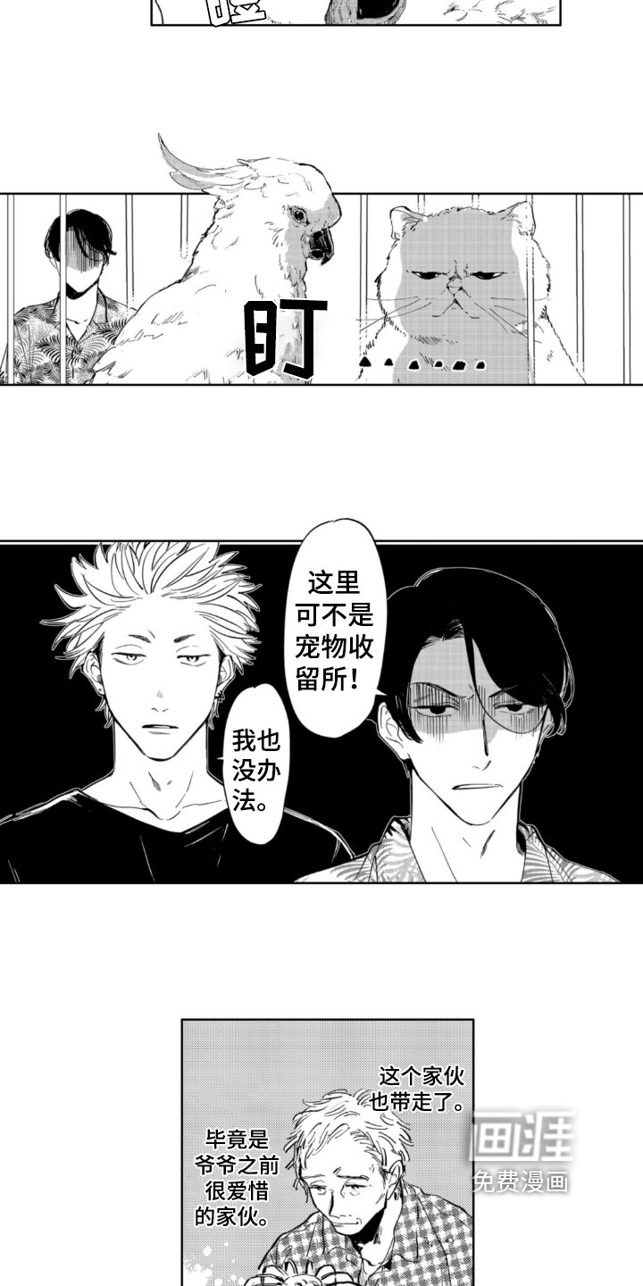 第8章：结局