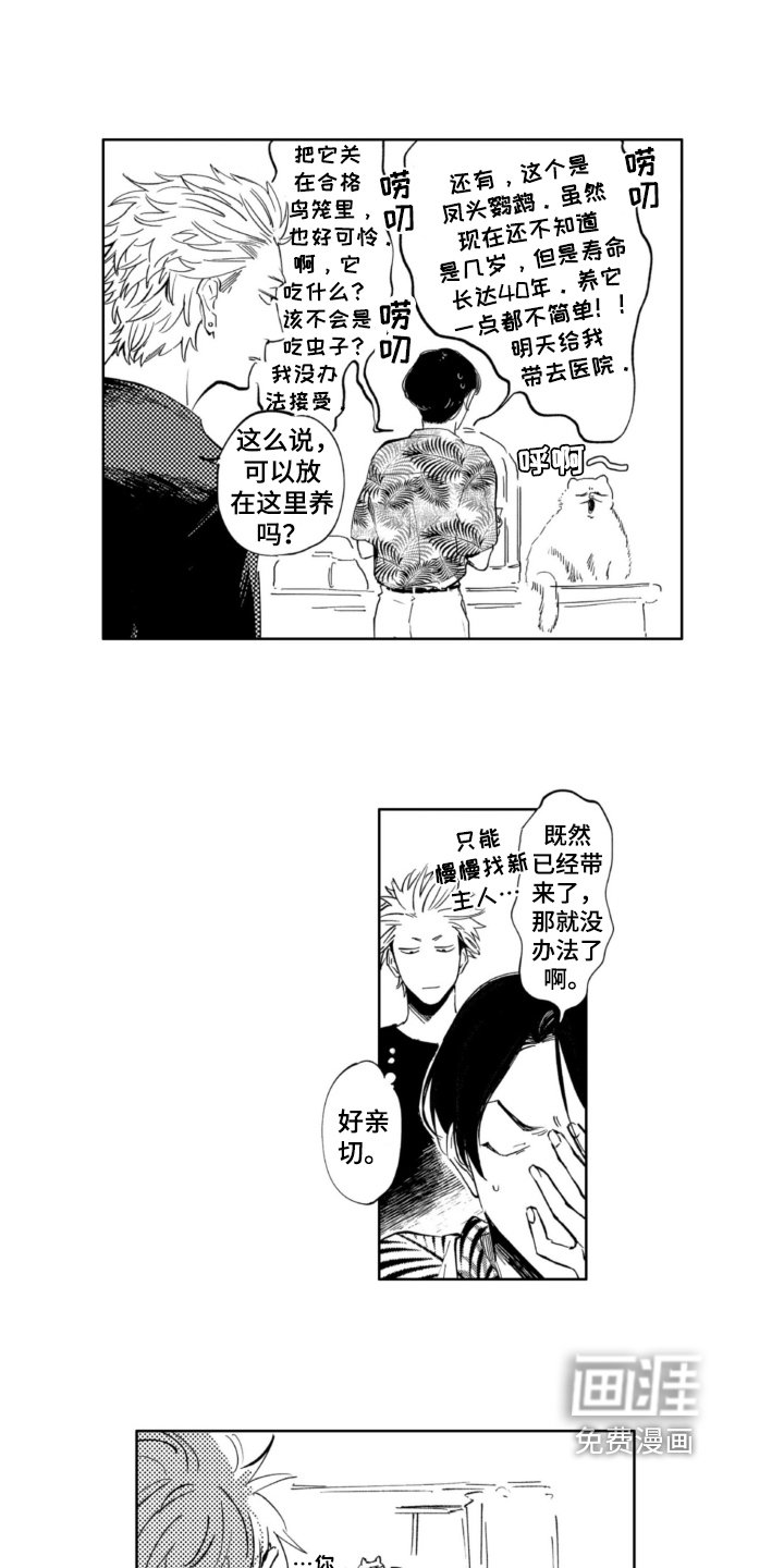 第8章：结局
