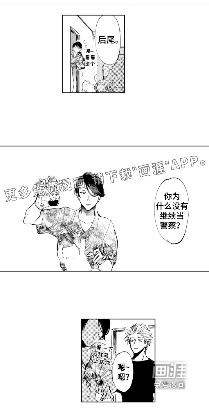 第9章：适合