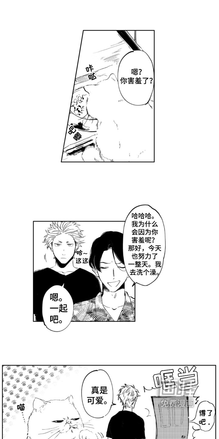 第9章：适合