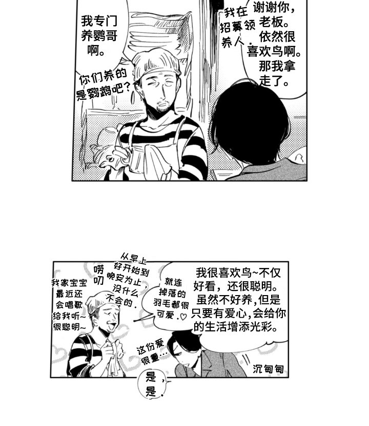 第9章：适合