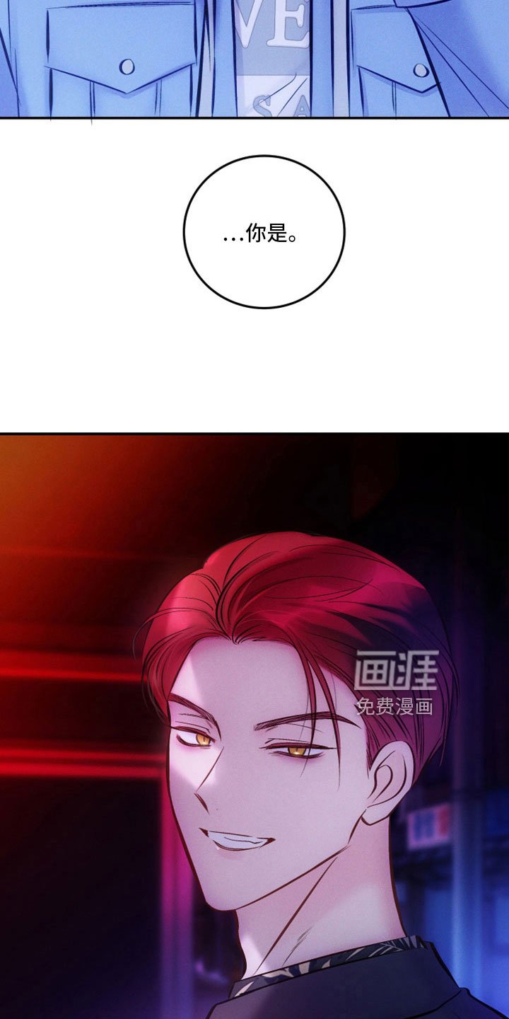 第45章：到底为什么