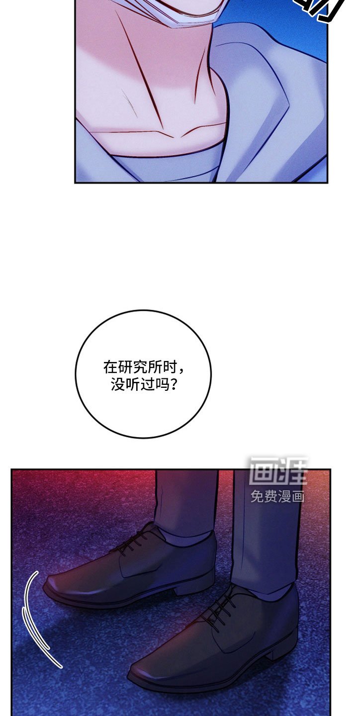 第45章：到底为什么