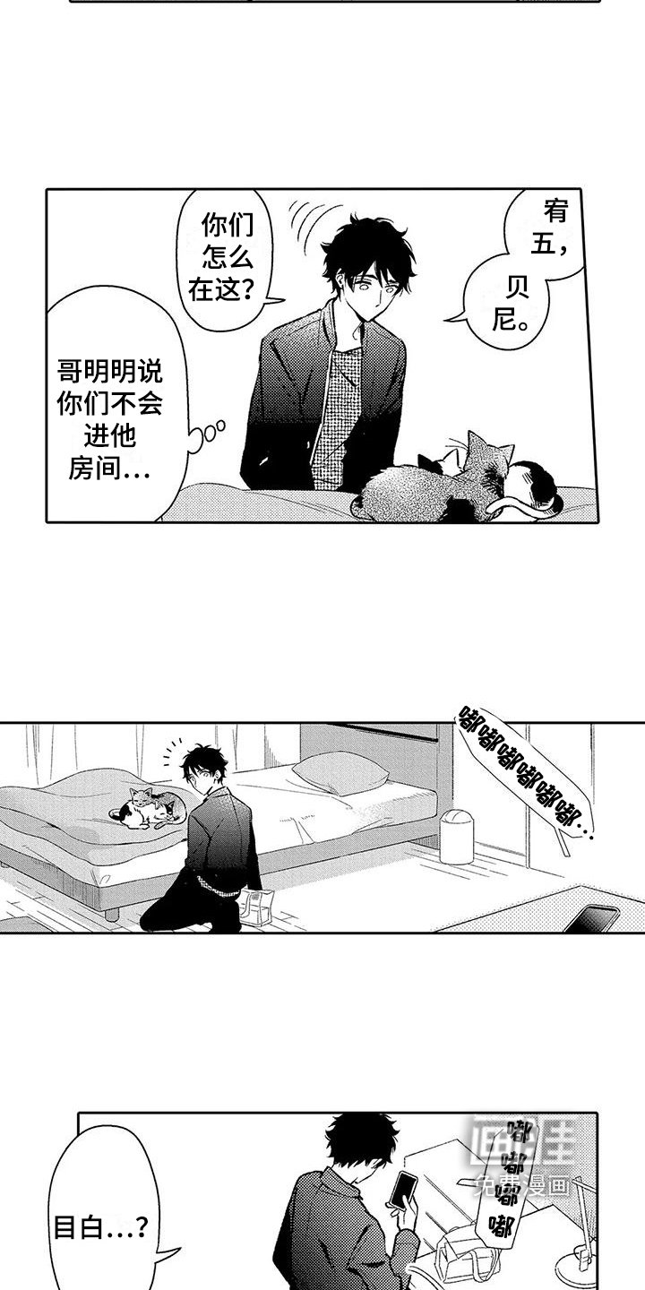 第14章：电话