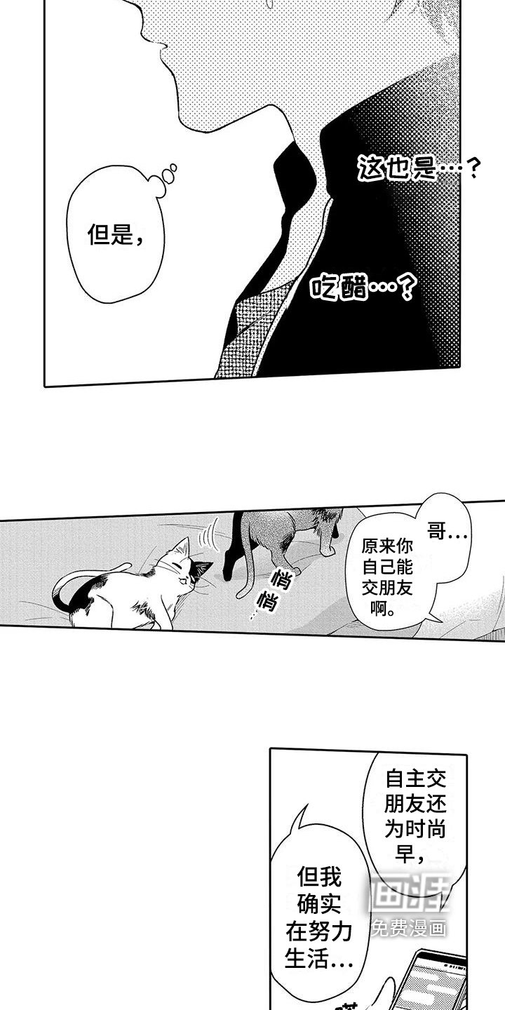 第14章：电话