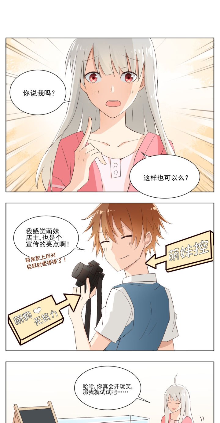 第11章：