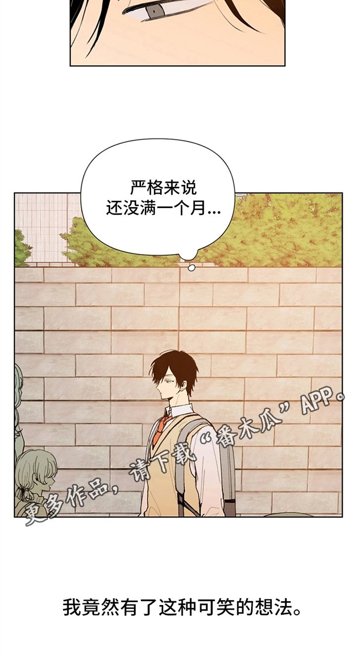 第23章：可笑的想法