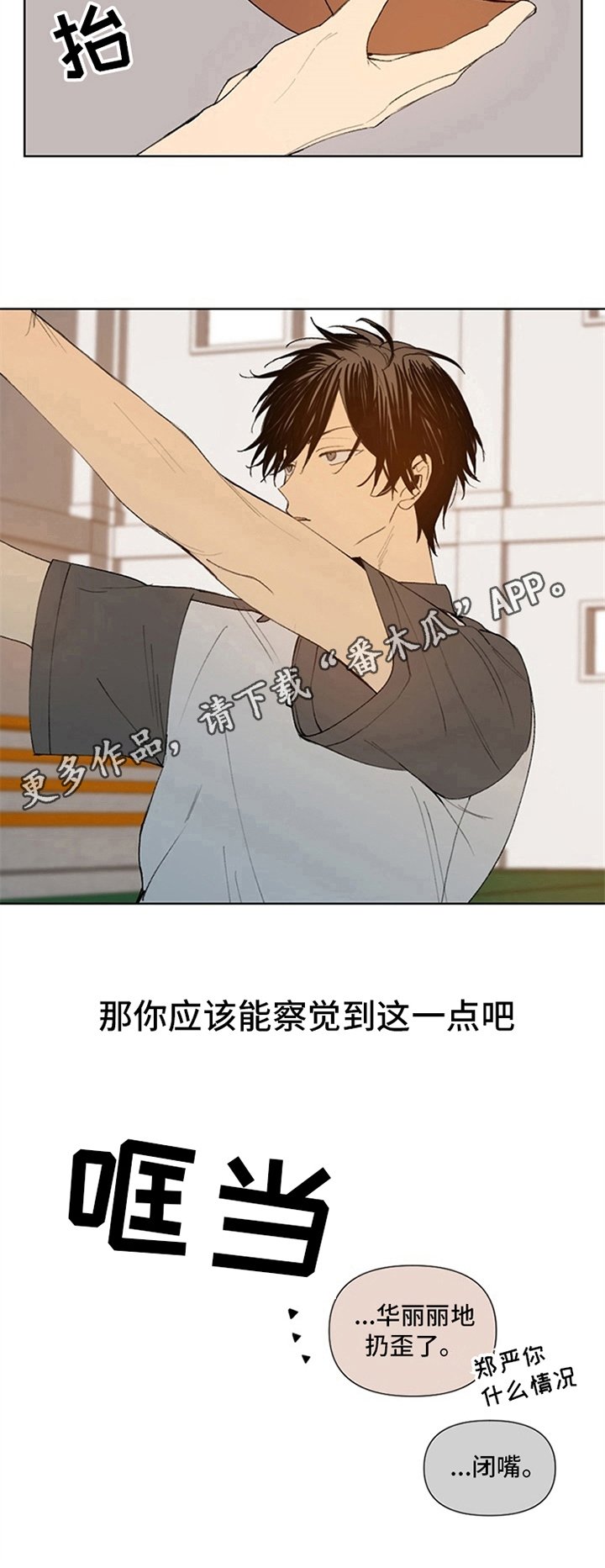 第32章：观察