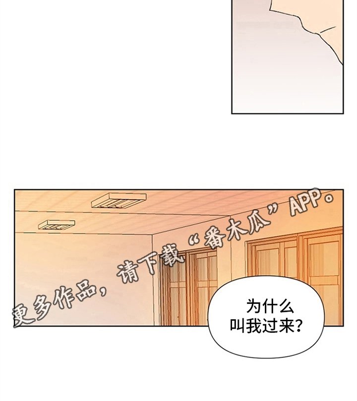 第7章：理由