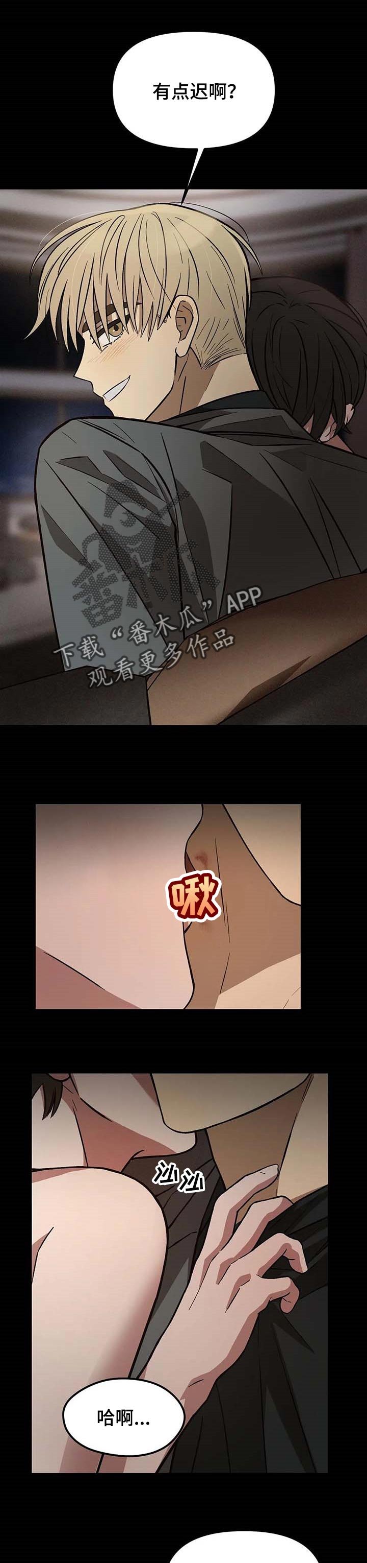 第21章：假装成熟的眼睛