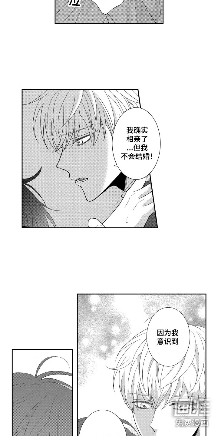 第15章：表白
