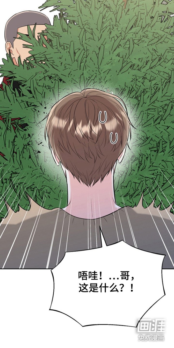 第105章：【番外】白色圣诞节