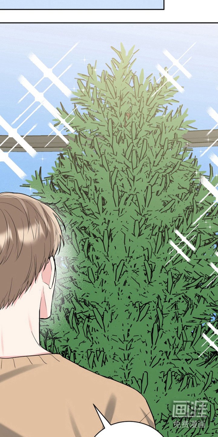 第105章：【番外】白色圣诞节