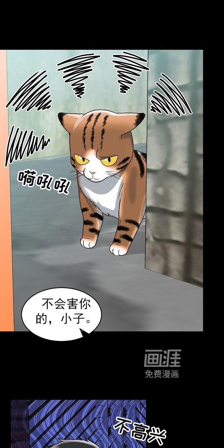 第23章：期待