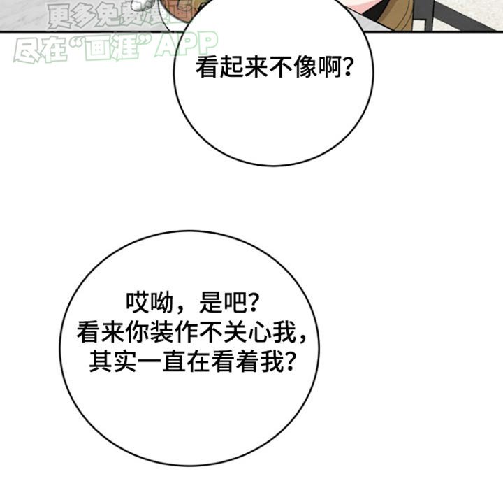 第63章：【第二季】那你要干嘛