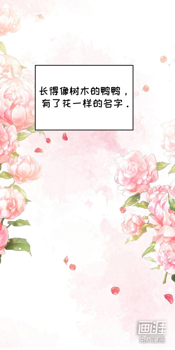 第80章：【第二季完结】善花