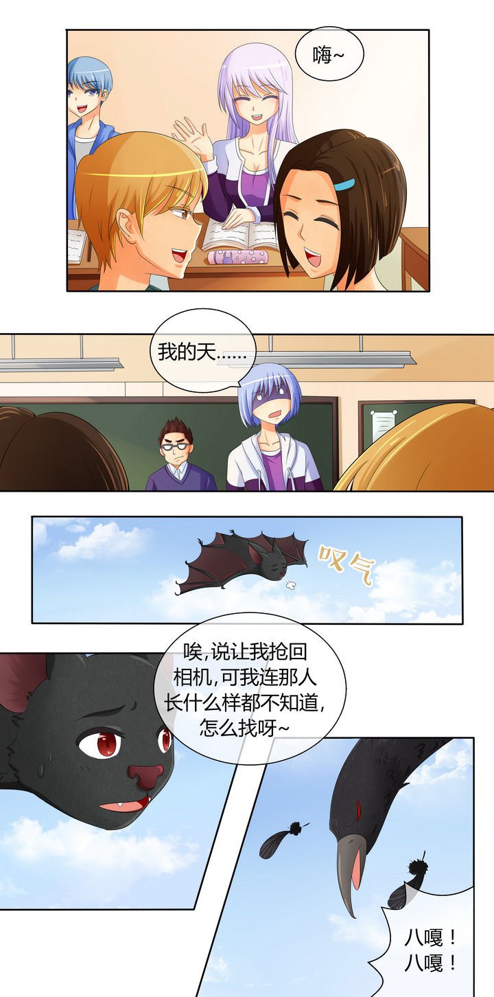 第11章：