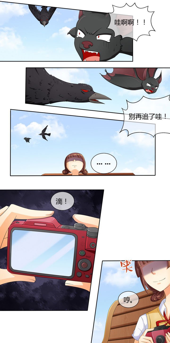 第11章：